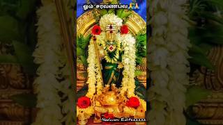 🌺💥 முருகன் பக்தி பாடல்💥murugan🌺@heavenlytreat #murugan #murugansongs #muruganwhatsappstatustamil