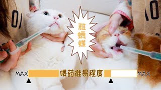 女主人第一次给猫喂驱虫药，猫咪完全不配合，只能用这招