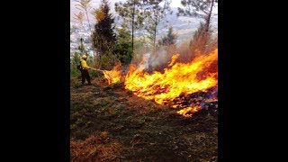 Intensifican acciones contra incendios forestales