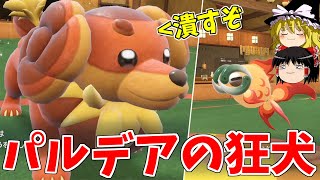 ひそかに使われだしたバウッツェルというポケモン【ポケモンSV】【ゆっくり実況】