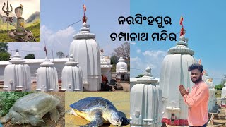 ଚମ୍ପାନାଥ ମନ୍ଦିର ||୭୦୦ ରୁ ୮୦୦ କଇଁଛ ଅଛନ୍ତି ||ଚମ୍ପେଶ୍ୱର୍ ,ନରସିଂହପୁର  ||Style_Star_Ajay ||#vlog