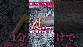 ⚠️神回※ もし逃したら2度とないです※熊野那智大社