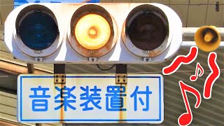 【激レア！】信号機がメロディー♪奏でる！？「音楽装置付」ゆっくり交通信号機🚥解説