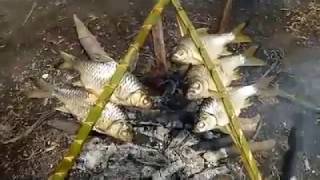 Amazing fish burning ដុតត្រីស្រែ