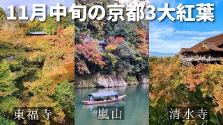 🍁京都紅葉🍁１１月中旬の京都の紅葉ってどんな感じ？　東福寺 | 清水寺 | 嵐山　kyoto,Tofukuji,Kiyomizudera,Arashiyama