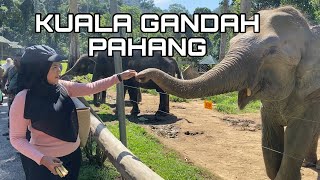 Trip Pusat Konservasi Gajah Kuala Gandah