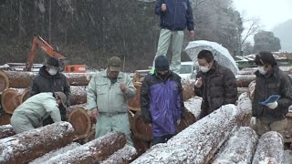 木材の初競り　雪が舞う中、掛け声響く　岡山・新見市