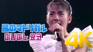 [4K] 미나미노 요코(南野陽子) - 風のマドリガル 1988 LIVE 4K AI Upscaling