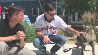 Isotopes players volunteer to help encourage animal adoptions