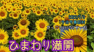 しまなみ日和　満開のひまわりが幸せの黄色い世界を作ります、今治市喜田村のひまわりに見とれます 2022/7/3