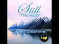 Still (The Prayer)