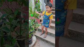 ছোট্ট ঈশান কি বলে গাছে নাকি toys ধরেছে#shorts#shortsfeed#viral #funnyvideo #comedy #toys#funny#ayaaz