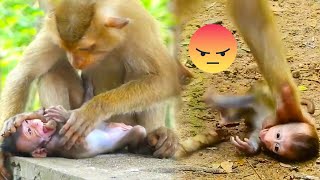 (Tổng hợp) Khỉ mẹ tìm mọi cách để cai sữa cho khỉ con, khỉ con khóc thét /Poor baby monkey weaning