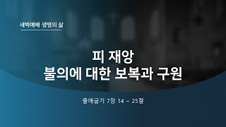 [왕림교회]새벽예배 출애굽기 7장 14~25절_2021.04.21(수)