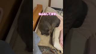 ゆずちゃんは、ここです