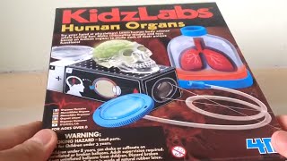 KidzLabs Human Organs 1 - Unboxing