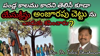 పండ్ల కాలము కాదని తెలిసీ కూడా  అంజూరపు చెట్టు ను యేసుక్రీస్తు ఎందుకు శపించారు /Rev T. Bhushanam/