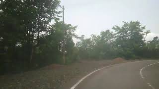 Siddapur to mavinhole  curving road