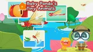 Baby Panda's Little Animal Kingdom l  Secrets of Tiny Animal l Kids Nursery rhyme l‎ babybus Games