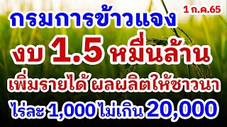 กรมการข้าวแจง งบ 1.5 หมื่นล้าน เพิ่มรายได้ ผลผลิตให้ชาวนา ไร่ละ 1,000 ไม่เกิน 20,000