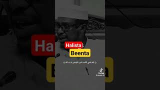 Halista Beenta - SHİİKH MUSTAFE