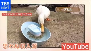 動物園＆水族館の挑戦！投げ銭で餌やり！コロナ禍でも稼ぐ方法は？【Nスタ】