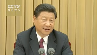 President Xi urges national, ethnic unity in Tibet