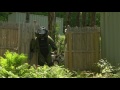 explosive ordnance disposal training