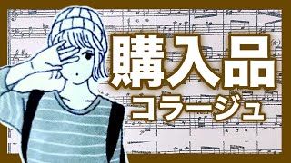 【100均】購入品コラージュ｜セリア｜ほぼ日手帳｜【手帳デコ•日記デコ】