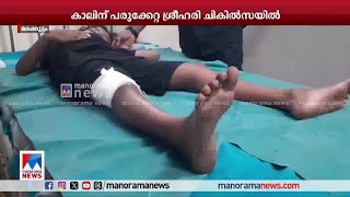 ശബരിമലയില്‍ കാട്ടുപന്നിയുടെ ആക്രമണം; 9 വയസുകാരന് പരുക്ക് | Sabarimala |Wild boar