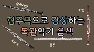 🎧 협주곡으로 감상하는 목관악기 음색 | 플룻(Flute), 오보에(Oboe), 클라리넷(Clarinet), 바순(Bassoon) | 음악 수업 | 오케스트라 악기 수업 |