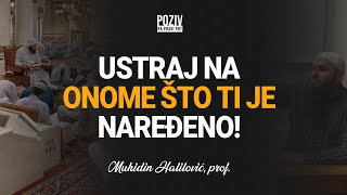 USTRAJ NA ONOME ŠTO TI JE NAREĐENO! - Muhidin Halilović, prof. ᴴᴰ┇Poziv na pravi put