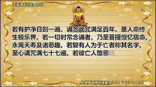 《无垢净光大陀罗尼经》聆志居士念诵