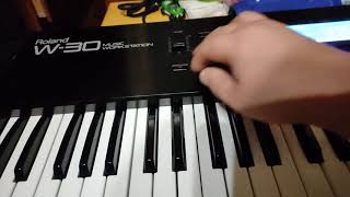 Roland w-30 demo test spb prodigy