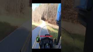 Goldwing and deer!!