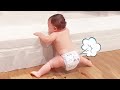 Try Not To Laugh Impossible - Funniest Babies Fart Videos Compilation