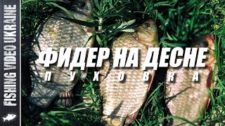 ОТЛИЧНАЯ ФИДЕРНАЯ РЫБАЛКА НА ДЕСНЕ В ПУХОВКЕ | FishingVideoUkraine