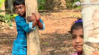 Largest Tree Hug in the World: Guinness world record for Asianet News | Web Exclusive