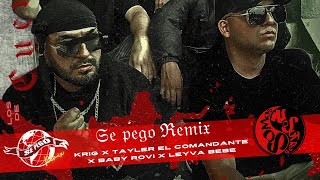 SE PEGO REMIX - ROOMA Y PJ FT TAYLER EL COMANDANTE X KRIG X LEYVA BEBE  X BABY ROVI