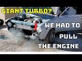 They Called Me Crazy | Getting The SEMA Datsun Running Then Immediately Pulling The Drivetrain