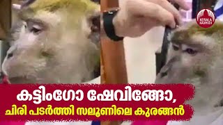 Viral Video | കട്ടിംഗോ ഷേവിങ്ങോ, ചിരി പടര്‍ത്തി സലൂണിലെ കുരങ്ങന്‍ | Keralakaumudi