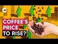 Coffee: What Moves its Price? | Explaining the Economics of Coffee