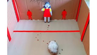 Hamster Squid Game Red Light Green Light EATING | Cute Hamster Videos