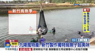 九降風特產! 新竹製作獨特烏魚子超美味│中視新聞 20201109