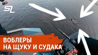 БЕЗОТКАЗНЫЕ воблеры на ЩУКУ и СУДАКА. Твичинг.