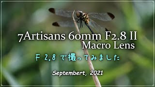 7Artisans 60mm F2.8 II Macro Lens 「 F 2.8 で撮ってみました 」