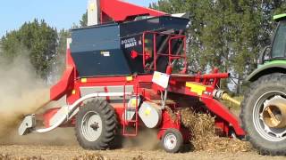 Dry bean / peanut harvester - theshing - Double Master II | Sweere