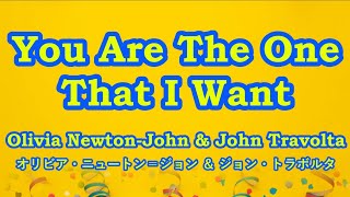 You Are The One That I Want / Olivia Newton-John & John Travolta　【カバー】Cover by RIA　オリビア・ニュートンジョン ღ和訳