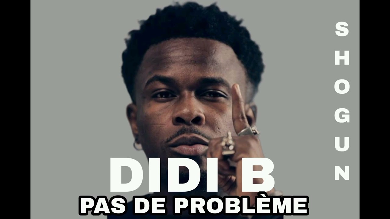 DIDI B _-_ QUAND TU AS WARI TU N'AS PAS PROBLÈME _-_ (Single Officiel ...