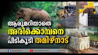 ആരുമറിയാതെ അരിക്കൊമ്പനെ പിടികൂടി തമിഴ്നാട് |Suprabhaatham online | news |